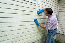 Best Storm Damage Siding Repair  in Statesboro, GA